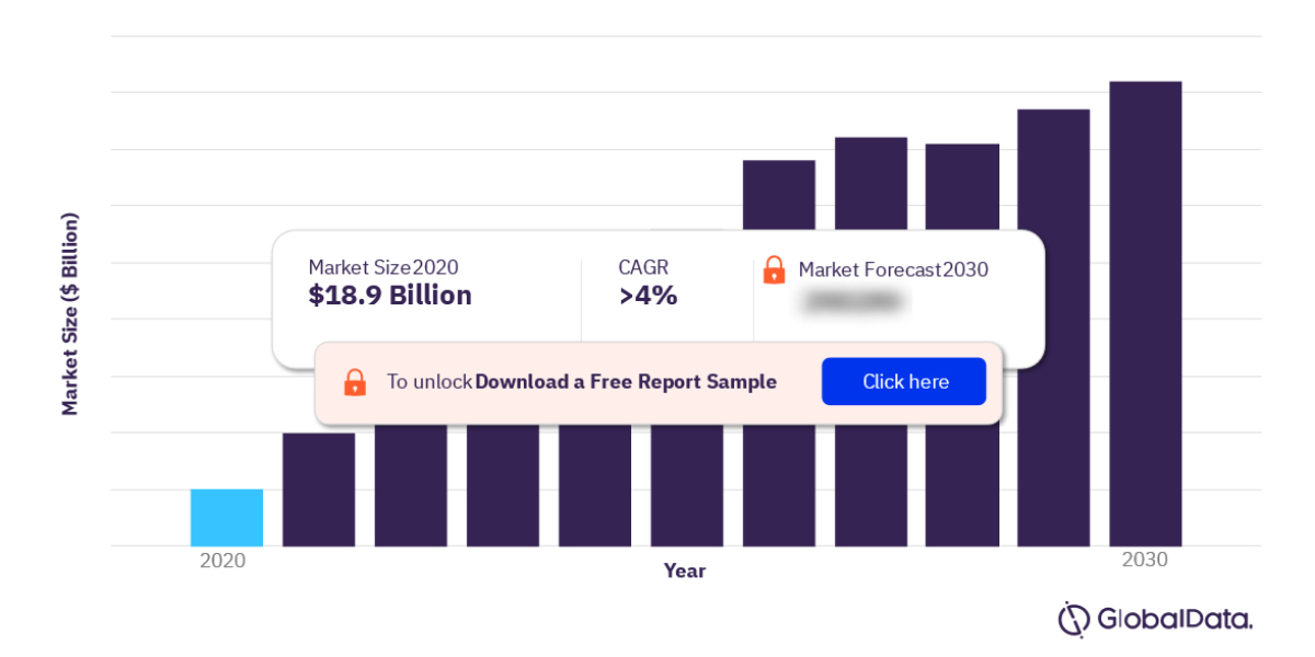 Multiple Sclerosis Market: Navigating the Landscape of Hope