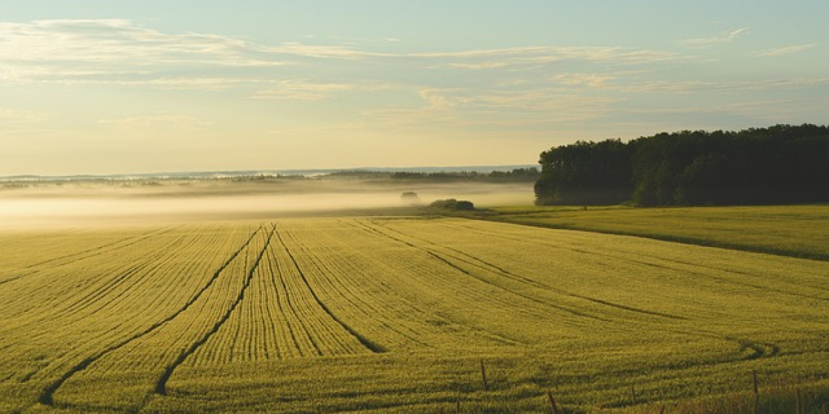 Integrate into daily life: How to easily integrate adult products into the sexual paradise of life