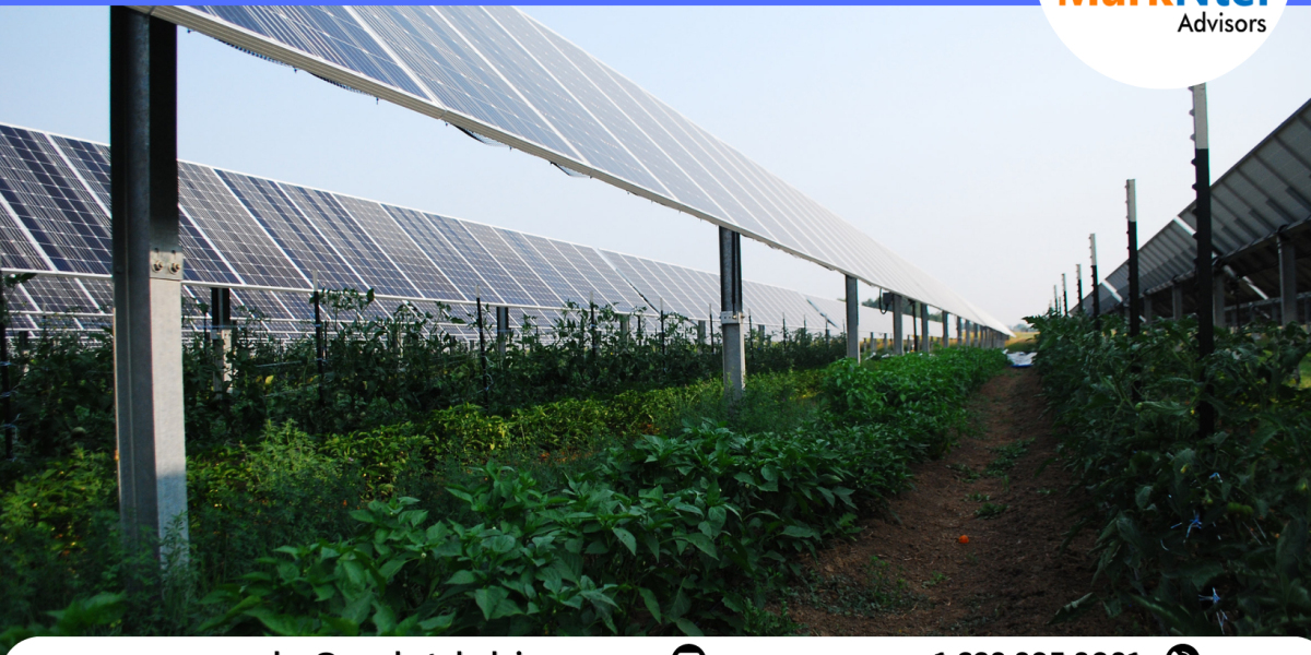 Europe Agrivoltaic Market Trends, Size, Share and Industry Report 2023-2028