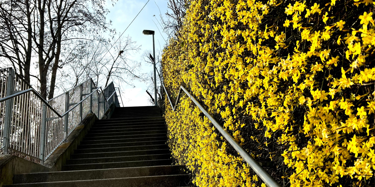 Experience new heights: female massage sticks open up endless possibilities