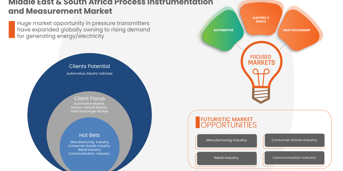 Middle East and South Africa Process Instrumentation and Measurement Market Growth by 2029