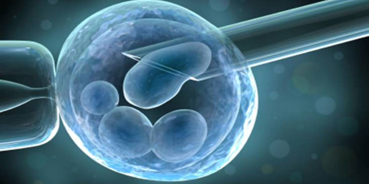 Global Personalized Cell Therapy Market Is Estimated To Witness High Growth Owing To Rising Prevalence of Chronic Diseas