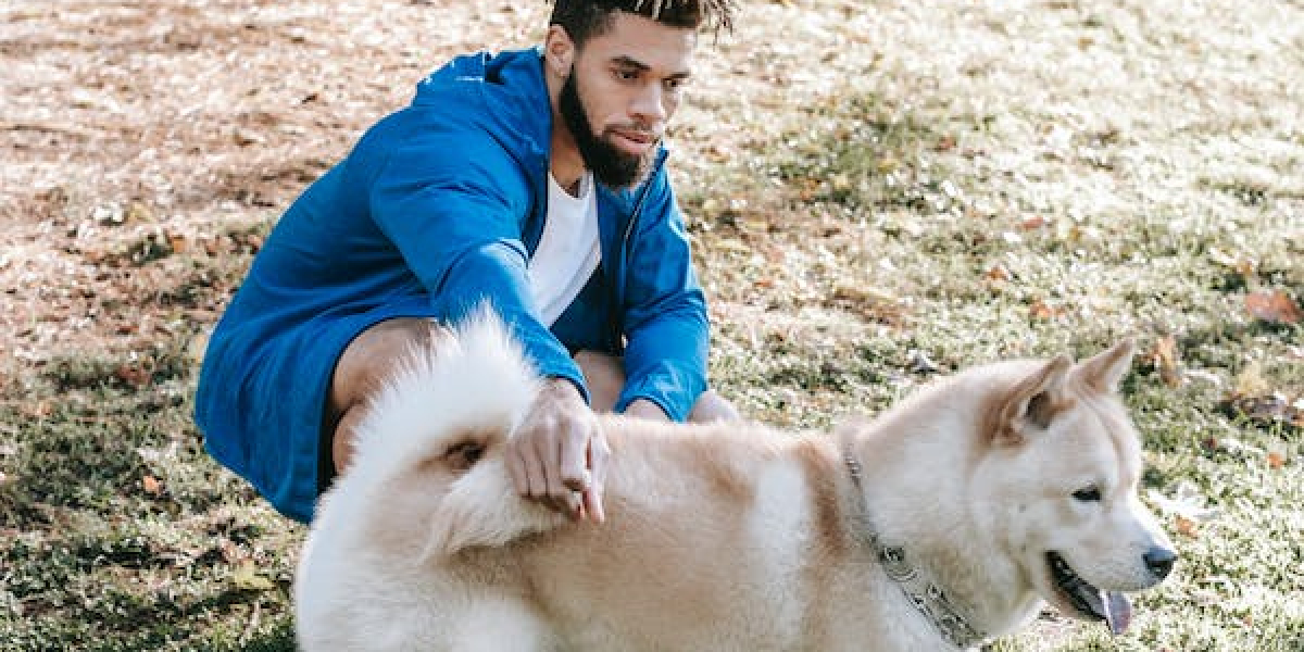 Unlocking Your Dog's Full Potential: Dog Training Boot Camp in Olathe