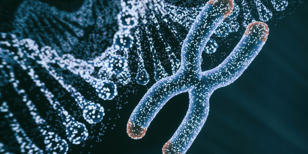 Molecular Diagnostics Market Size, Share, Growth Analysis 2023-2028