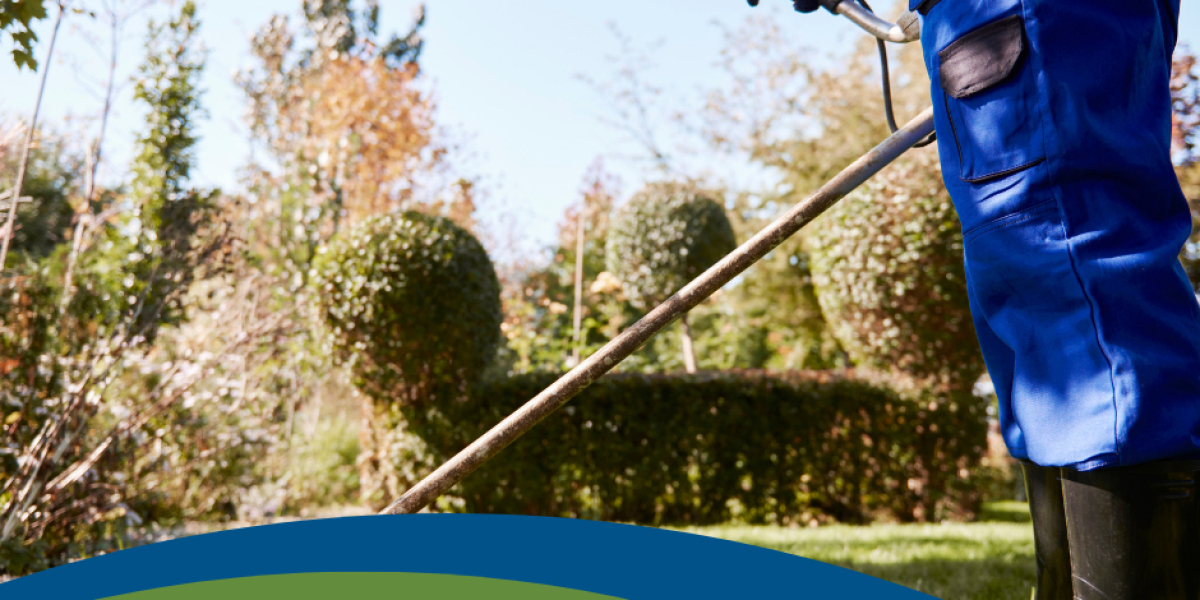 Transforming Outdoor Spaces: Your Guide to Landscaping Excellence in Encinitas