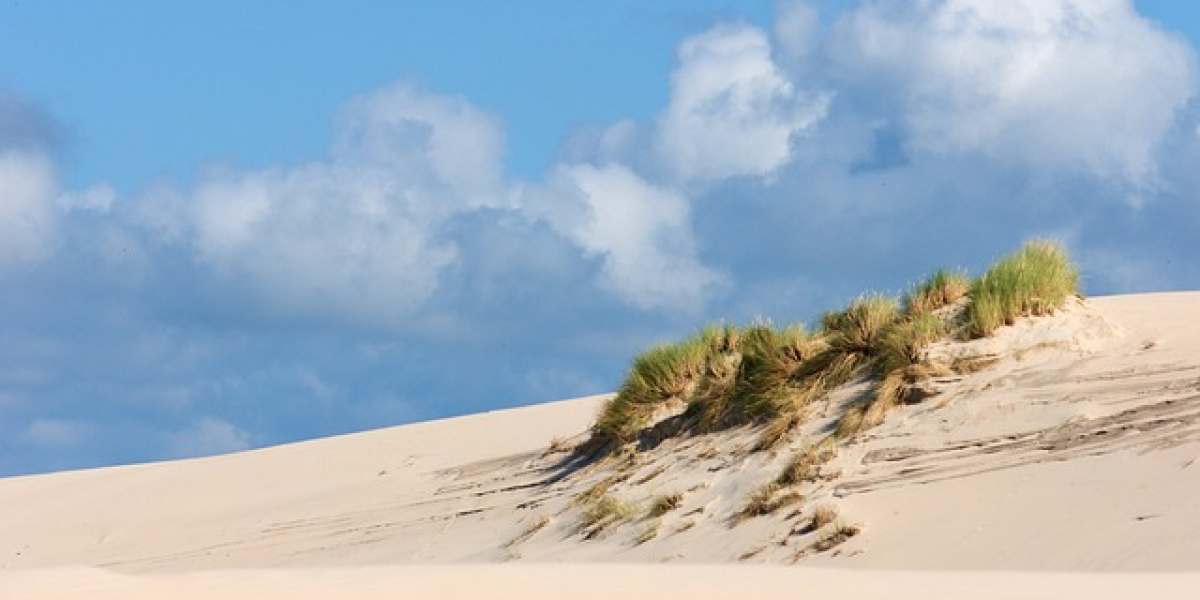 Sex Toys and Self-Exploration: The Multidimensional World of Sex