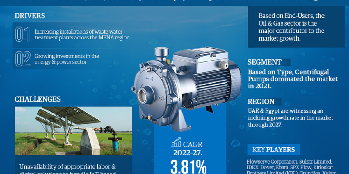 Middle East & North Africa Water Pumps Market Report: Growth Drivers, Future Scope, and Market Size