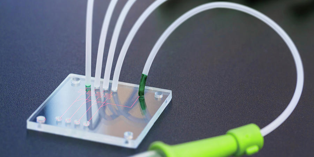 Global Organ On A Chip Market Is Estimated To Witness High Growth Owing To Rising Demand for Effective Drug Testing and 