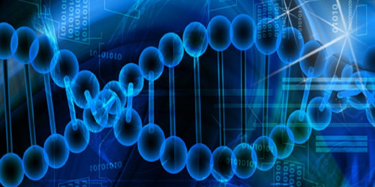 Global Bioinformatics Platforms Market Is Estimated To Witness High Growth Owing To Increasing Adoption of Bioinformatic