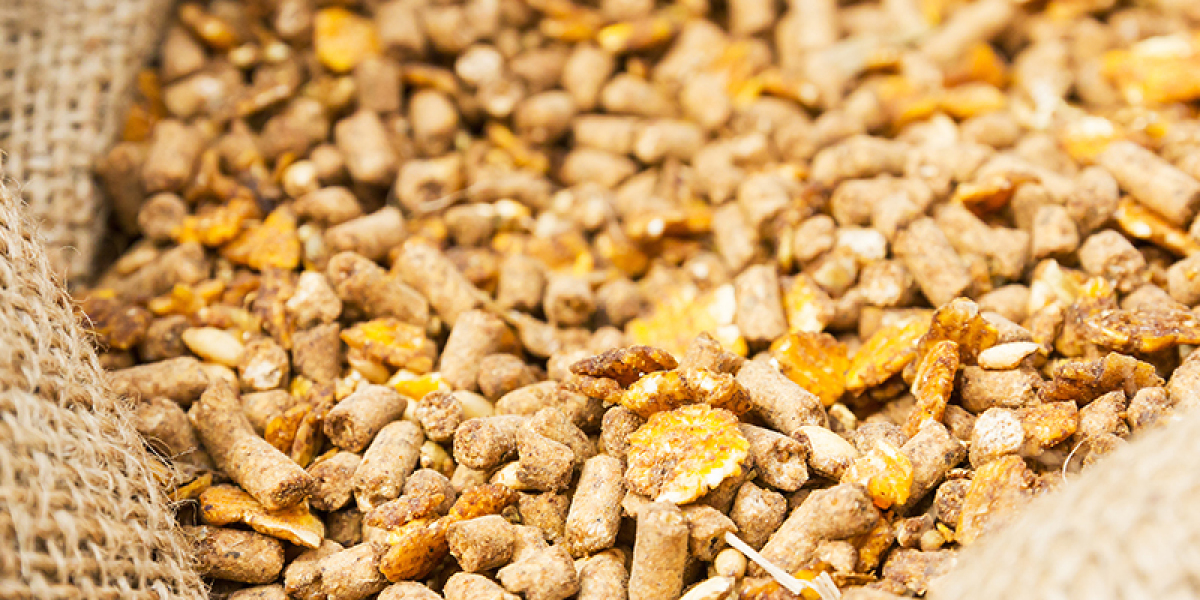 Europe Feed Additives Market Size, Share, Trends, Price, Growth, Opportunity and Forecast 2023-2028