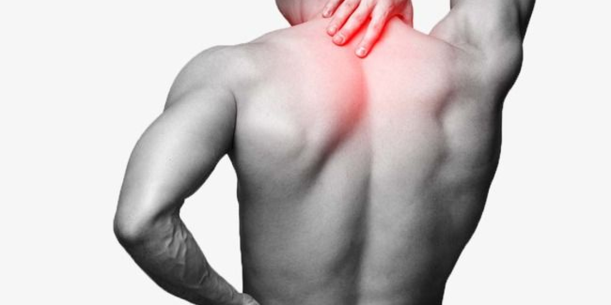 Blue Vibe CBD Gummies 101: The Essential Guide