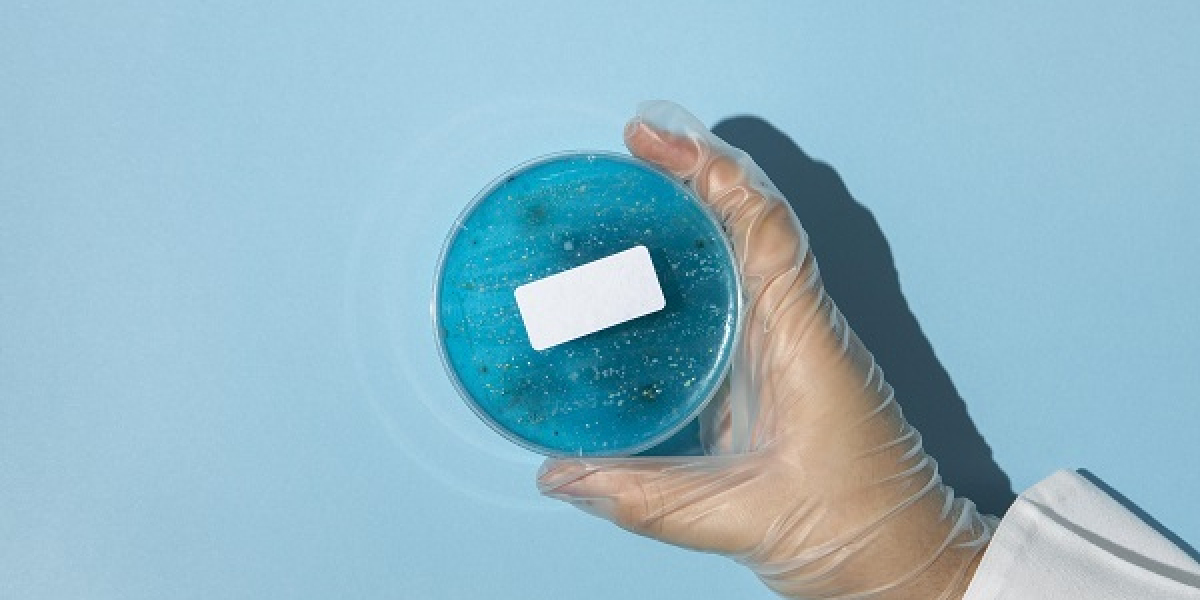 Medical Grade Silicone Market Recent Trends, Growth And Outlook Till 2032