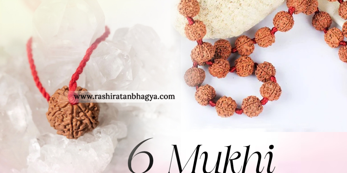 Get Natural 6 Mukhi Rudraksha Online from Rashi Ratan Bhagya