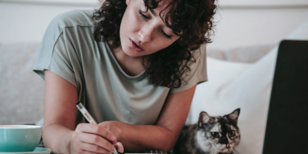 Get Ahead of Your Statistics Class with Expert Help