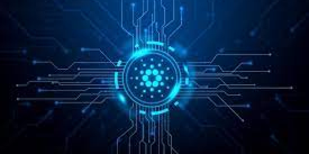 Elevate Your Betting Game with Major Playground Toto Sites