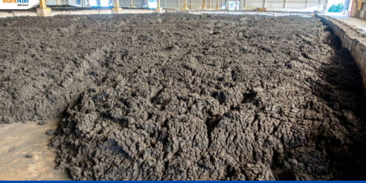 Middle East Biosolids Market Report 2022-2027: A Comprehensive Overview of Market Size, Share, and Growth Forecast