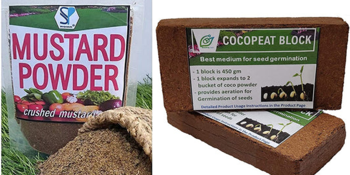 Eco-Friendly Wall Decor: The Beauty of Cocopeat Art