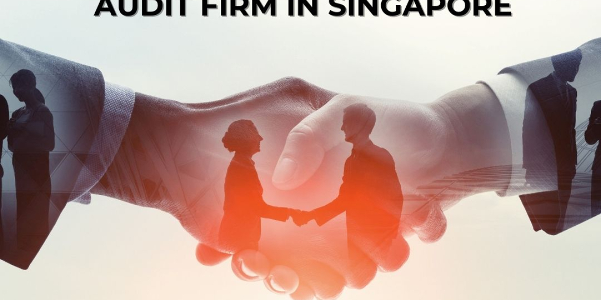 Singapore Audit Company Review: Expert Analysis