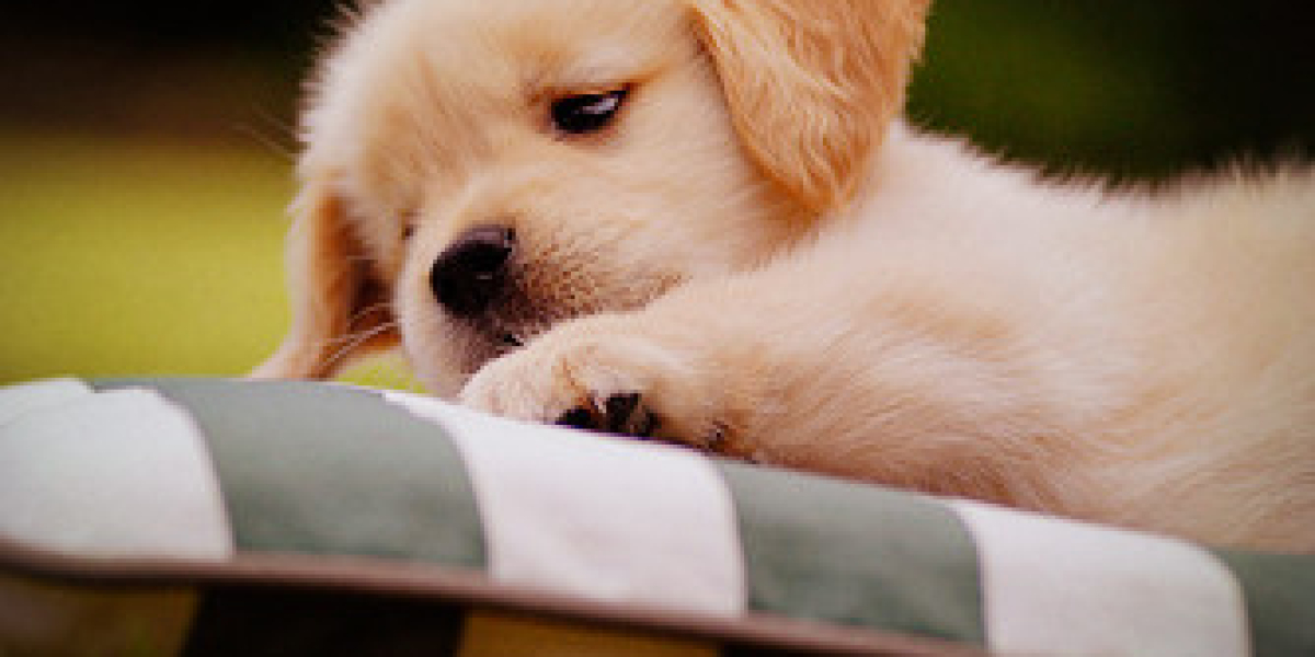 Bulk Dehydrated Beetroot Powder