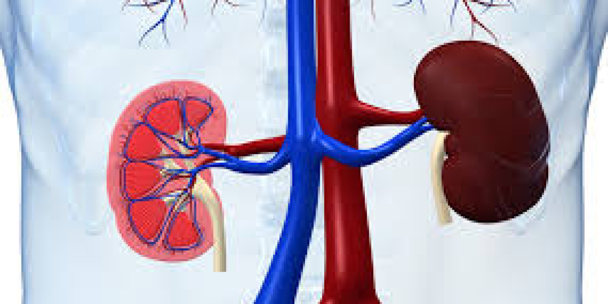 Glomerulonephritis Market Analysis, Forecast And Industry Trends 2023-2033