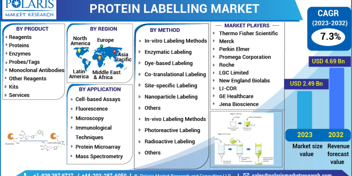 Protein Labelling Market to Set Remarkable Growth in Coming Years 2032