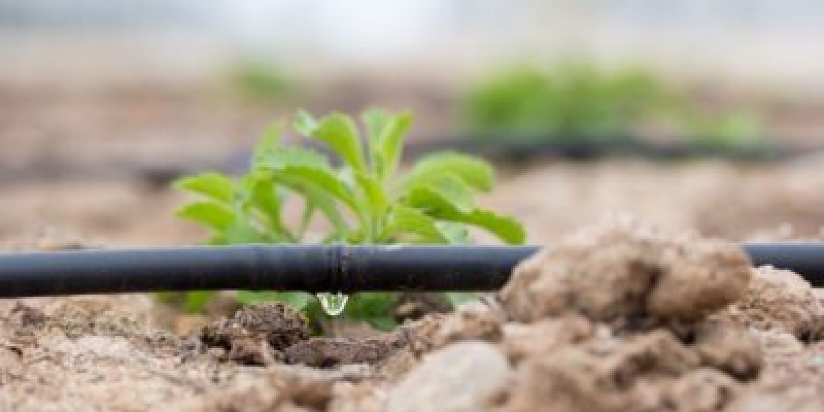 From Roots to Fruits: Enhancing Crop Productivity with Drip Irrigation Systems