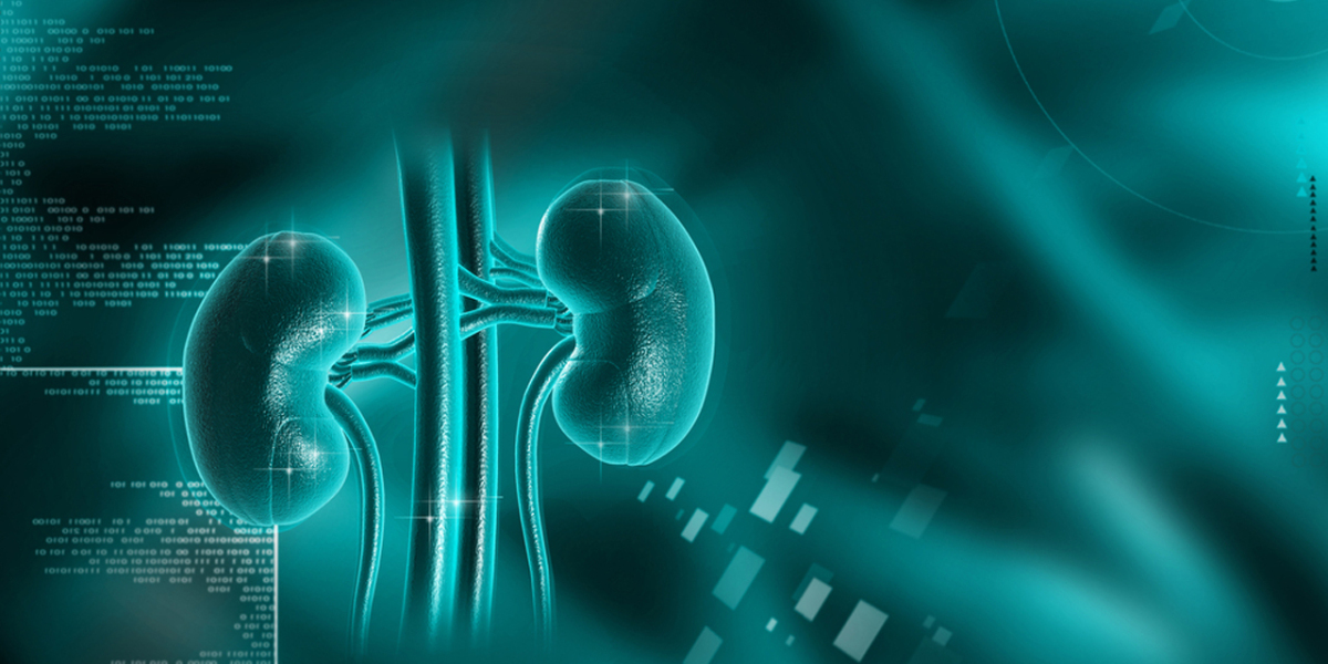 Stem Cell Therapy Market Size To Expand Momentously Over 2023-2032