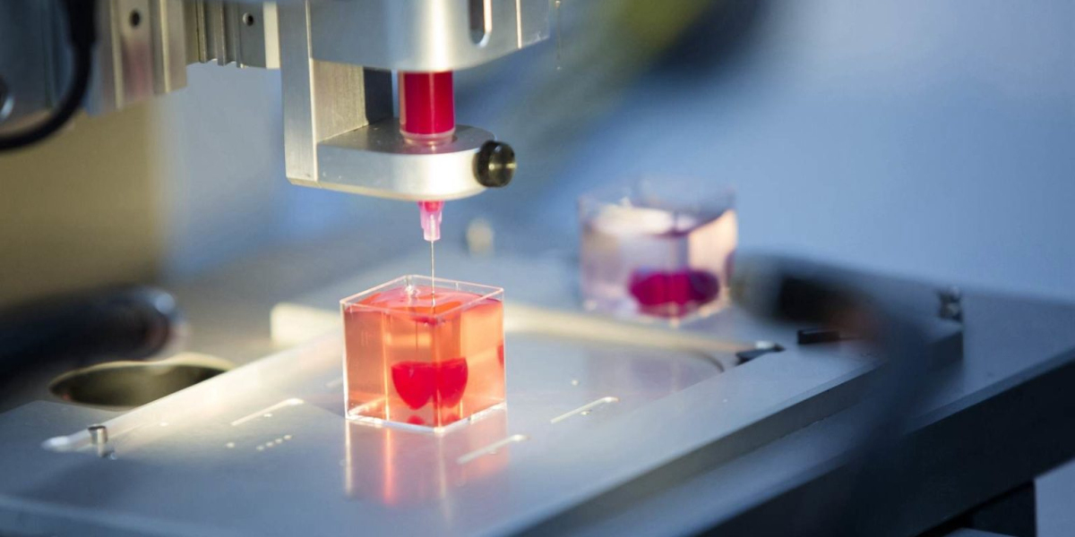 Global 3D Bioprinting Market Is Estimated To Witness High Growth Owing To Technological Advancements and Increasing Appl