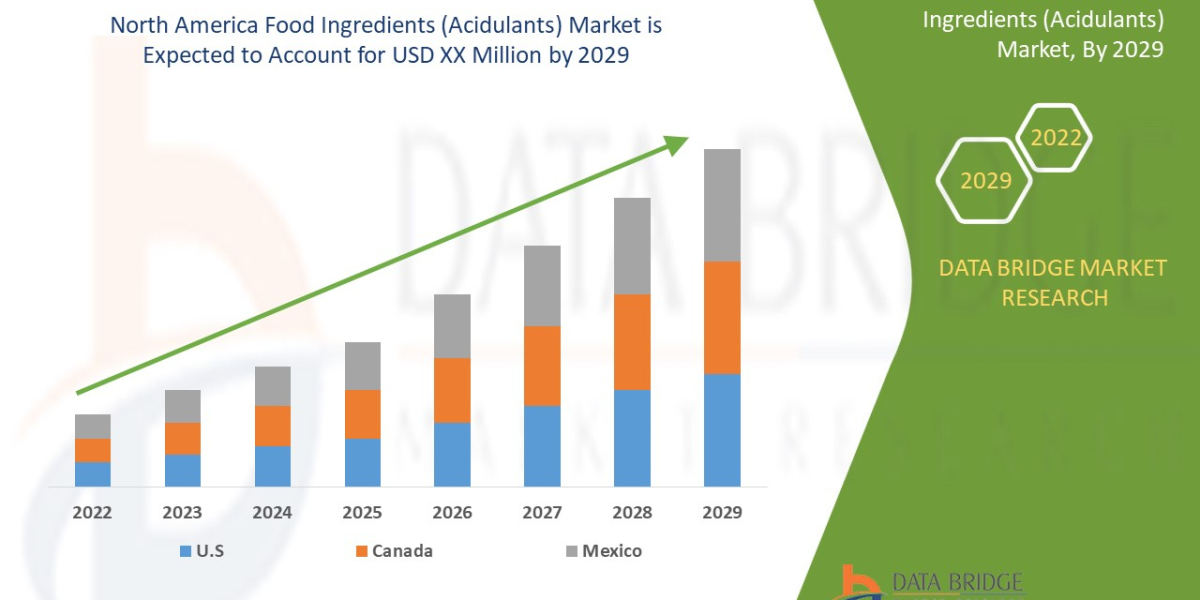 North America Food Ingredients (Acidulants) Market Size (New Insights Report) to Reach USD: Growing importance