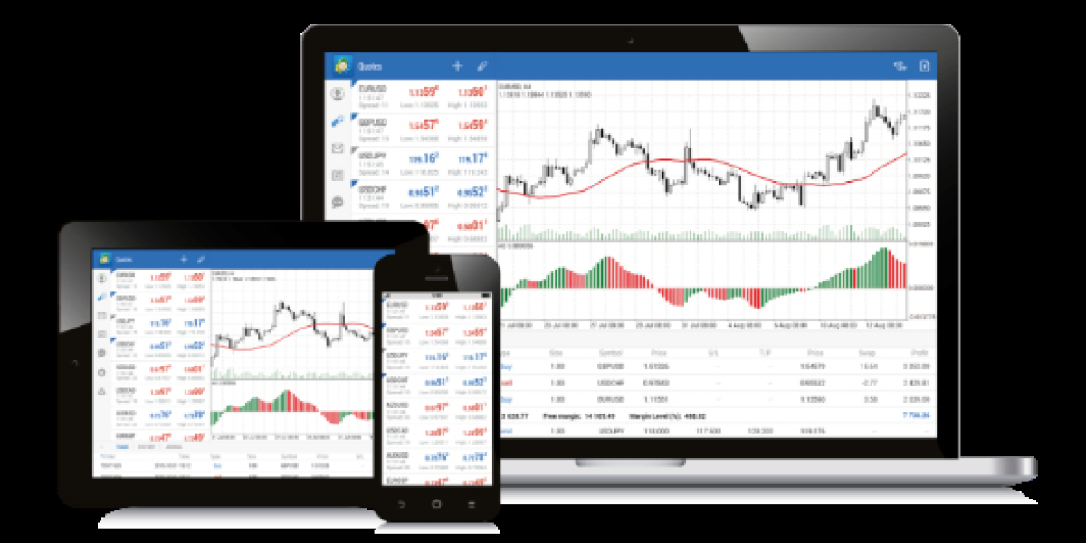 universalassets address