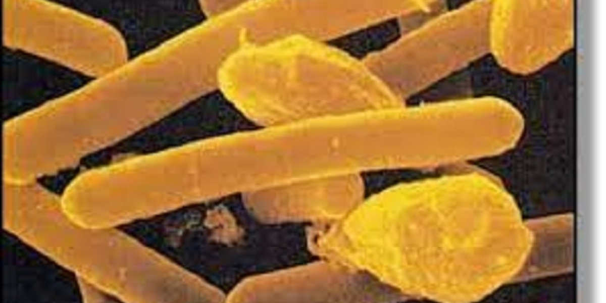 Botulism Market Share 2023 | Forecast till 2033