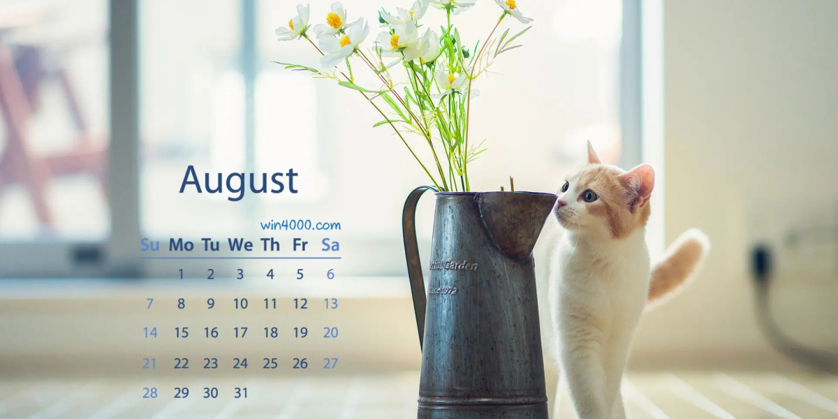 Electronic Label manufacturers