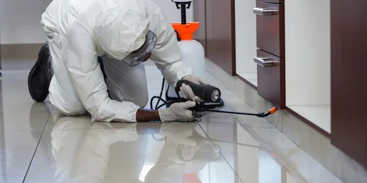 Top Pest Control Services For Termites in Singapore