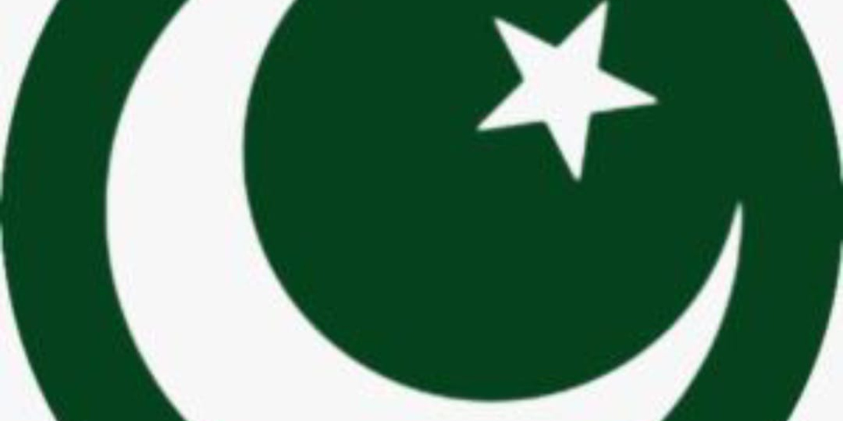 Discovering Major Playground: A Treasure Trove of Experiences