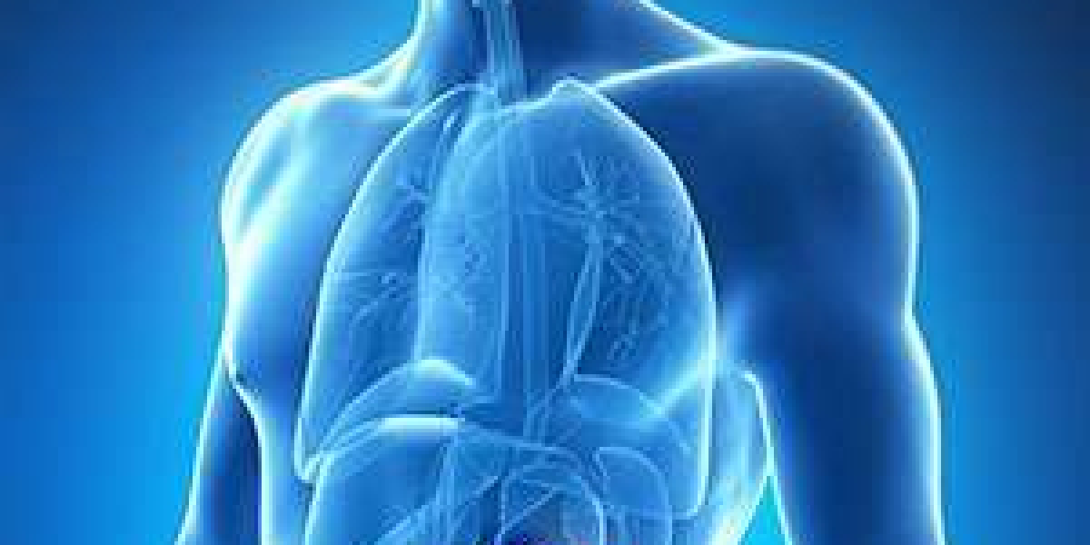 Pancreatic Cancer Market Top Leading Players with Strategies and Forecast 2030