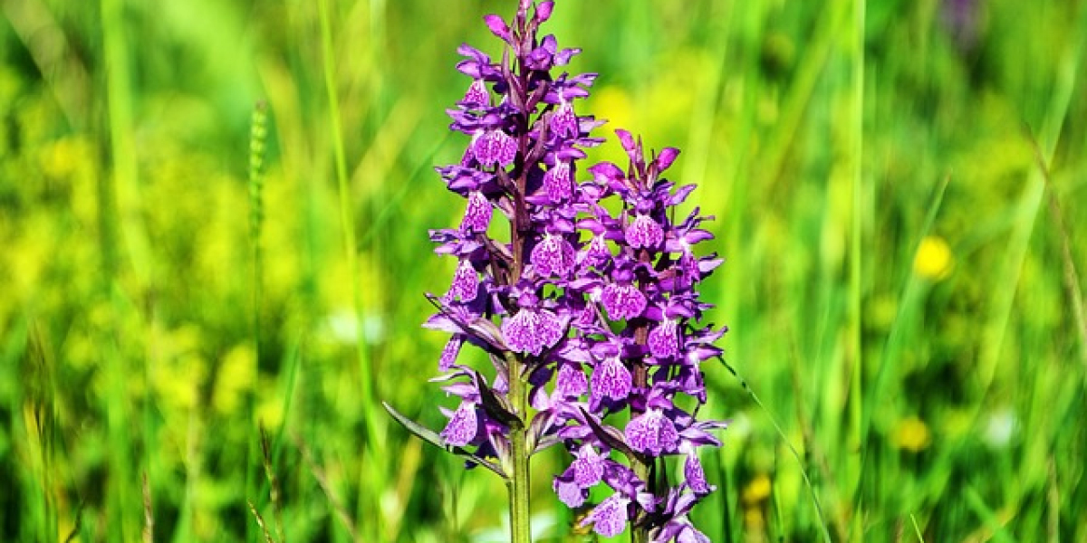 New concepts of sex: creative applications of sex toys