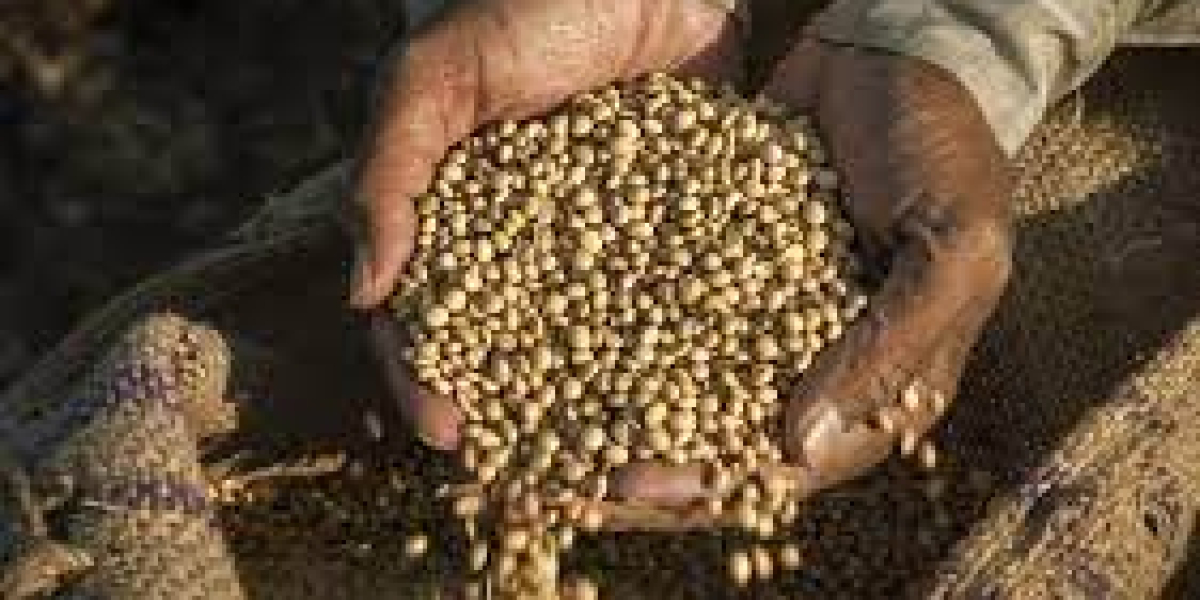 Agricultural Coatings Market Overview with Application, Drivers, Regional Revenue, and Forecast 2030