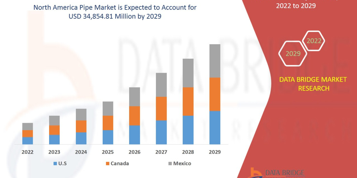 North America Pipe Market Size, Scope, Segmentation, Insight, Demand, Application & analysis by 2029