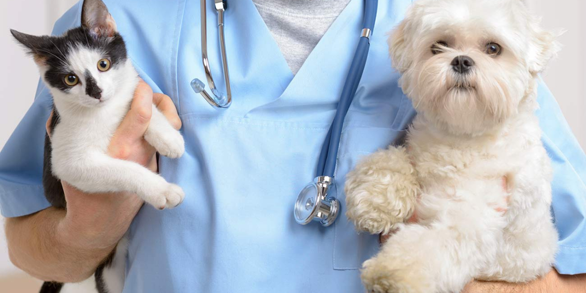 Global Veterinary Services Market Is Estimated To Witness High Growth Owing To Increasing Pet Ownership and Rising Deman