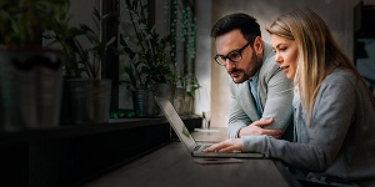 Navigating Business Excellence: SAP Business One Partners and SAP Consulting Company in Dubai – Seal