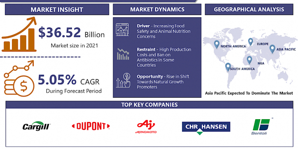 Feed Additives Market to Hit $51.56 Bn Globally by 2028 |Says IMR