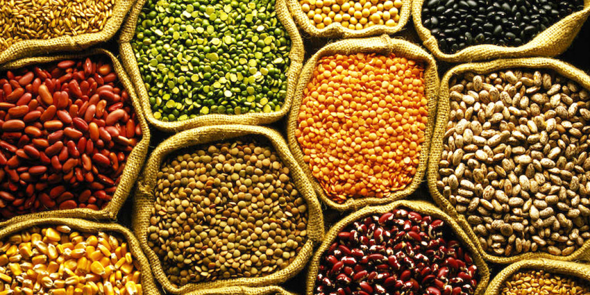Future Prospects of the Vegetable Seed Market