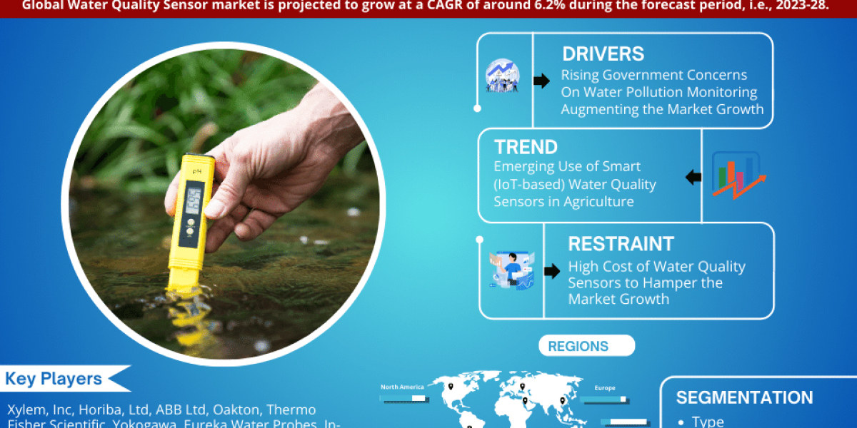 Unlocking Insights: Global Water Quality Sensor Market Share and Size Trends for 2028