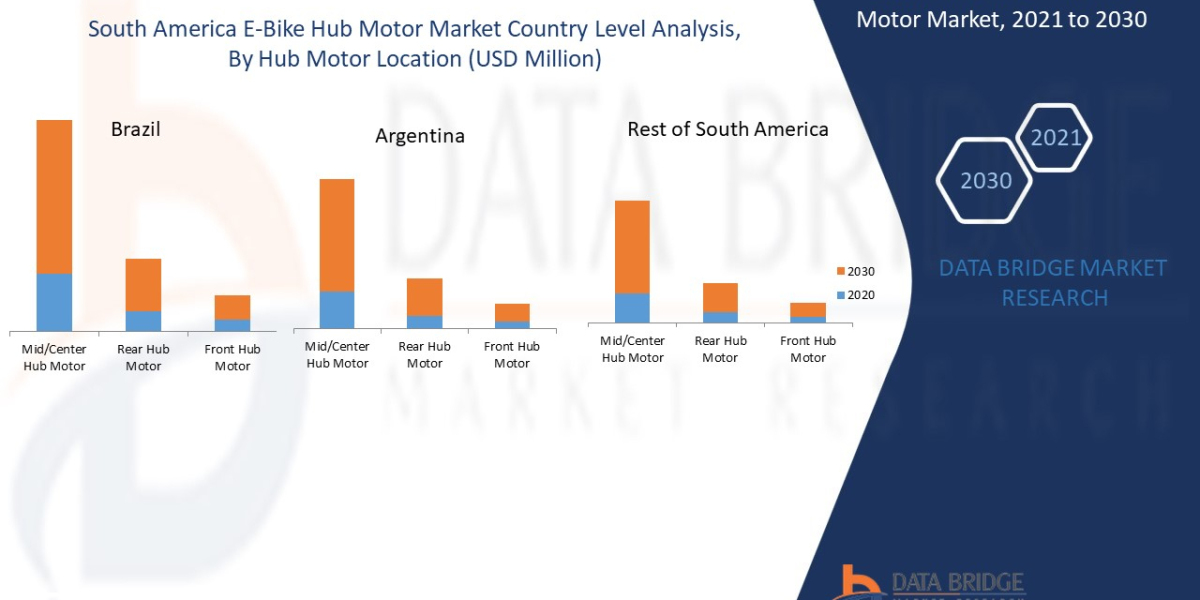 South America E-bike Hub Motor Market Latest Innovation and Top Companies by 2030.