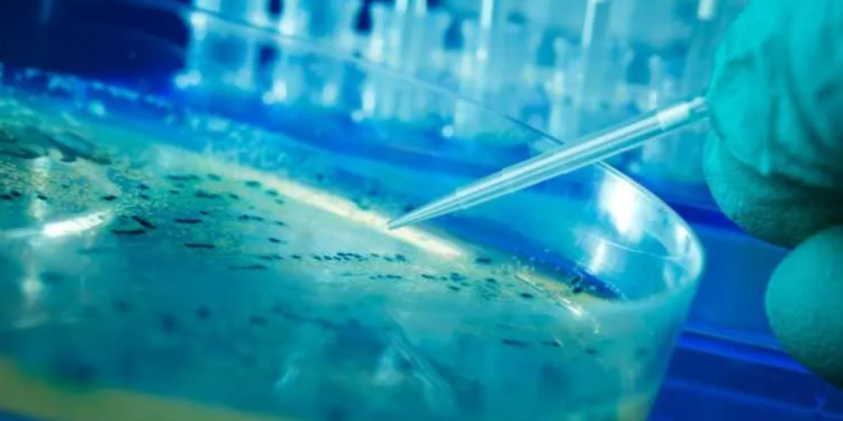 Plasmid DNA Manufacturing Market Size, Share, Growth, Analysis, Trends and Forecast 2023 – 2030