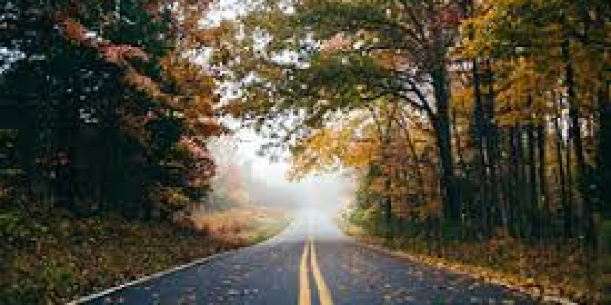 Bengalsweekly awards towards 34-11 gain above Lions