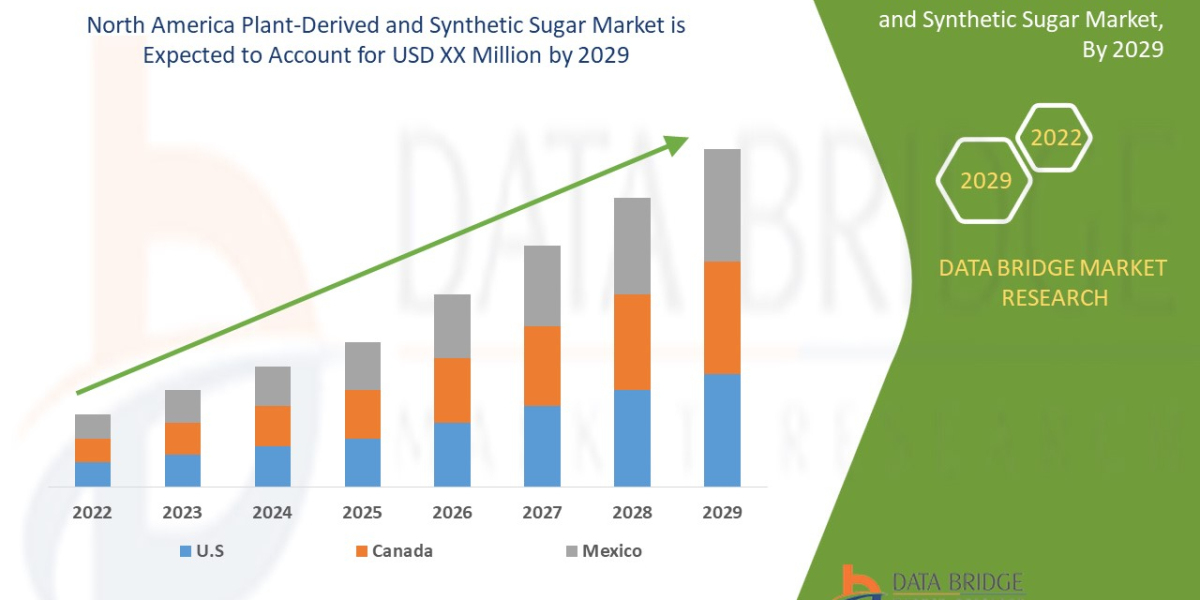 North America Plant-Derived and Synthetic Sugar Market Size, Share, Growth, Emerging Trends and Forecast by 2029
