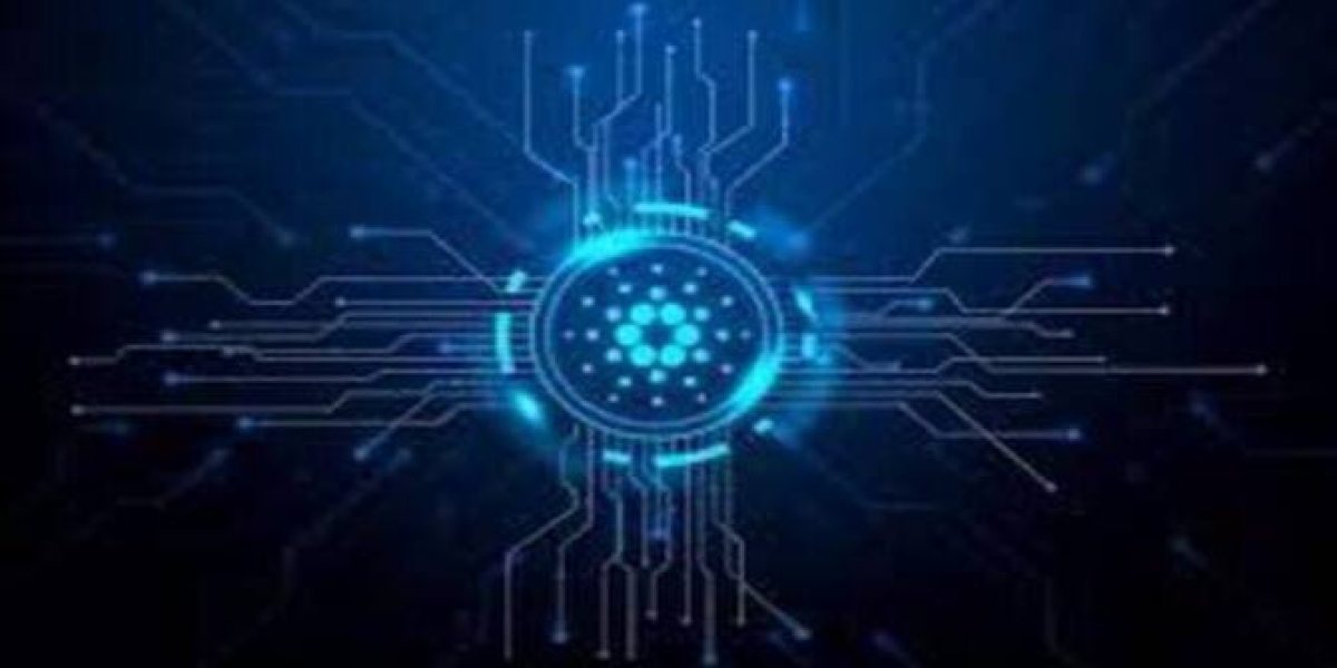 Reusable Water Bottles: A Greener Choice for Hydration