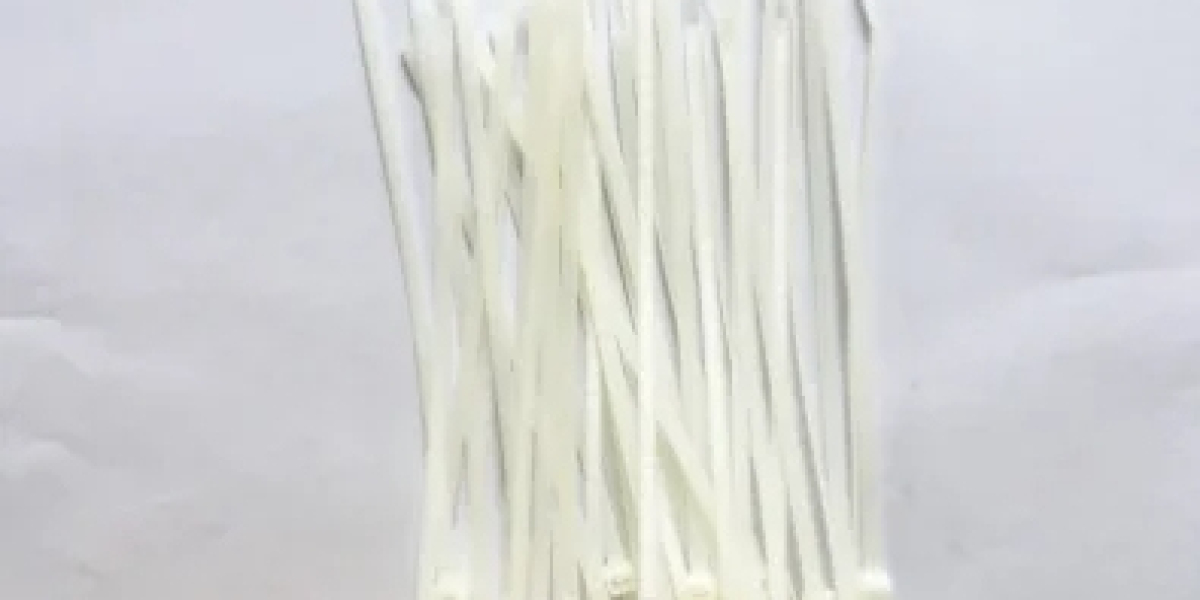 OM1N4-B100 Non-Reinforced Nylon 6 for Industrial Applications