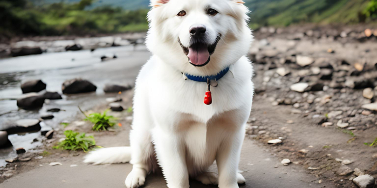 Can Dogs Eat Chicken | 10 Benefits, Health Issues, Risks